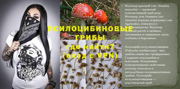 jwh Алексеевка