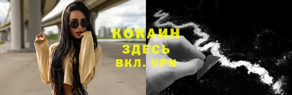 ПСИЛОЦИБИНОВЫЕ ГРИБЫ Абаза