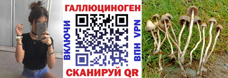 Галлюциногенные грибы прущие грибы  shop клад  Дзержинский 